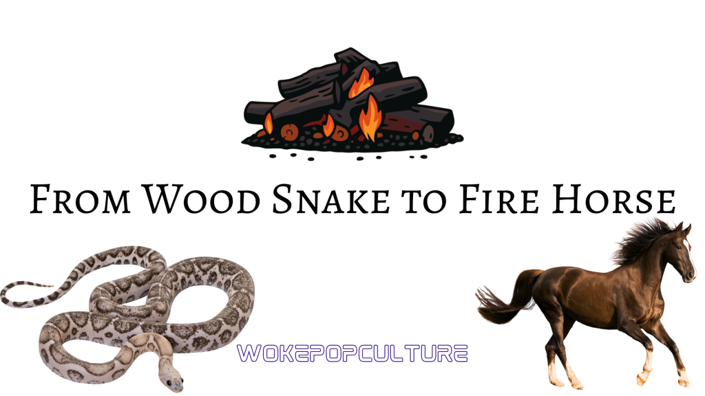 LIVE: 2026 Year of the Fire Horse, What Does it All Mean?, Predictions and&nbsp;Decode